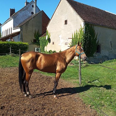 Brienon-sur-ArmançonLe Moulin Neuf别墅 外观 照片