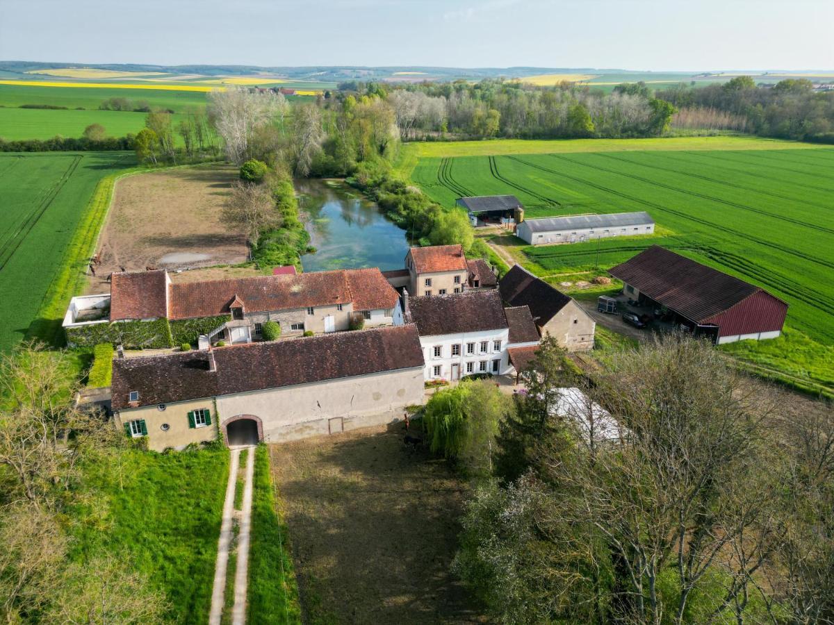 Brienon-sur-ArmançonLe Moulin Neuf别墅 外观 照片