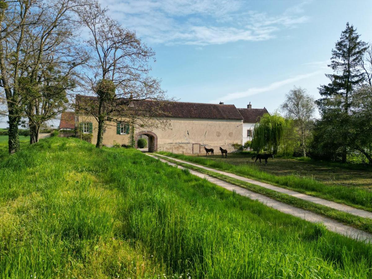 Brienon-sur-ArmançonLe Moulin Neuf别墅 外观 照片