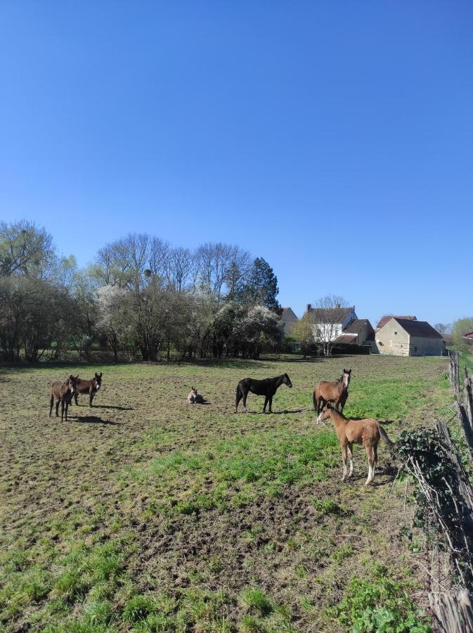 Brienon-sur-ArmançonLe Moulin Neuf别墅 外观 照片