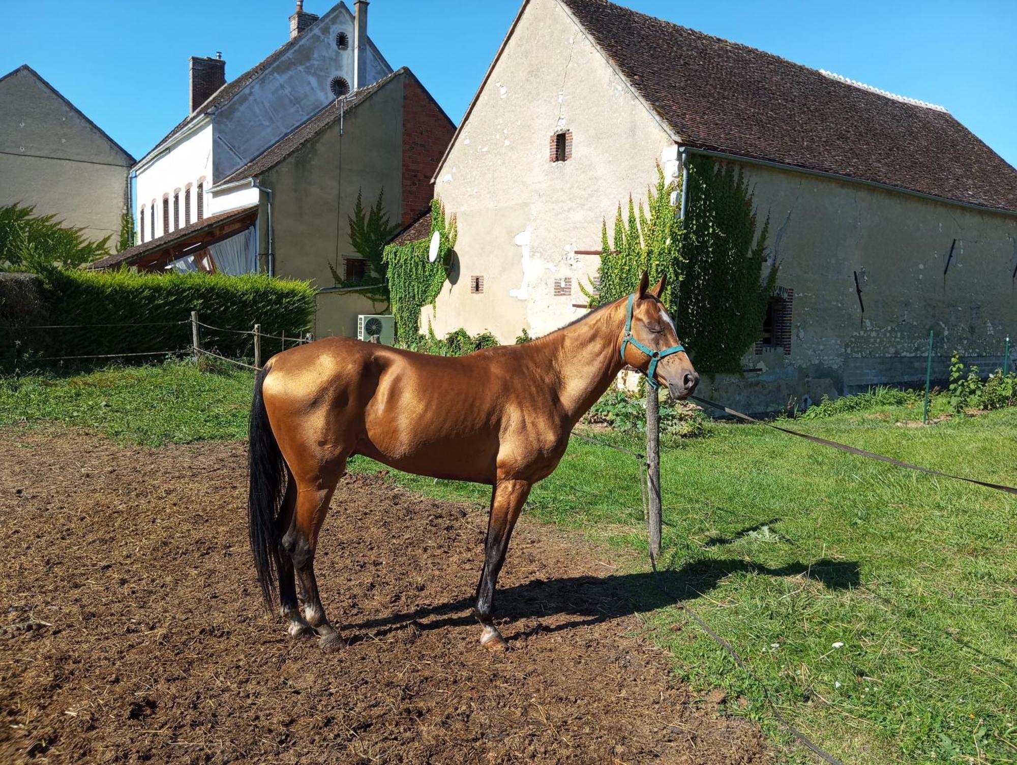 Brienon-sur-ArmançonLe Moulin Neuf别墅 外观 照片